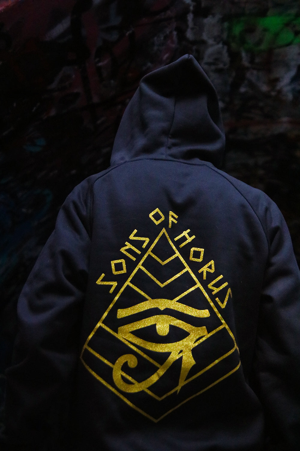 Egyptian Sons Of Horus Hoodie