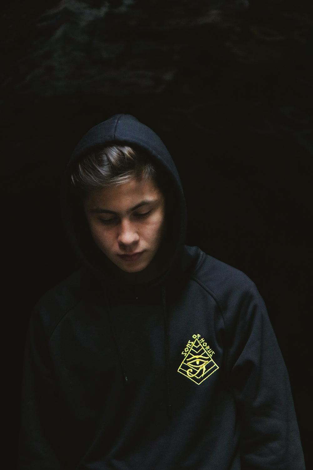 Egyptian Sons Of Horus Hoodie