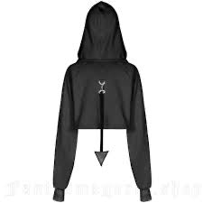 Devil in Disguise Cropped Hoodie