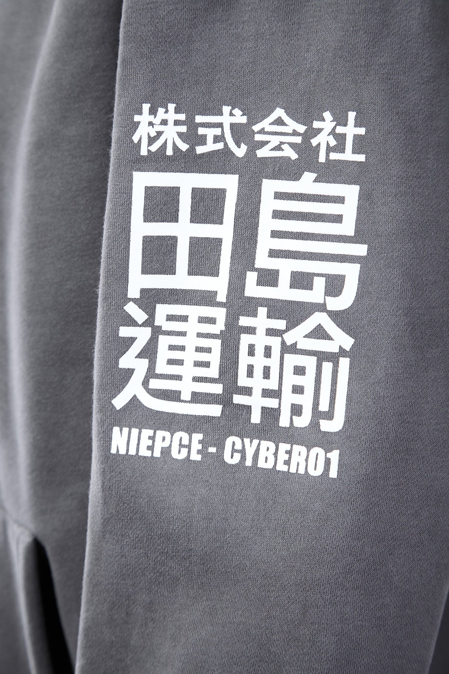 Grey Niepce Cyber01 Hoodie