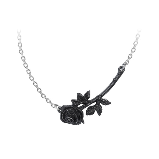 Alchemy Gothic Black Rose Enigma Necklace